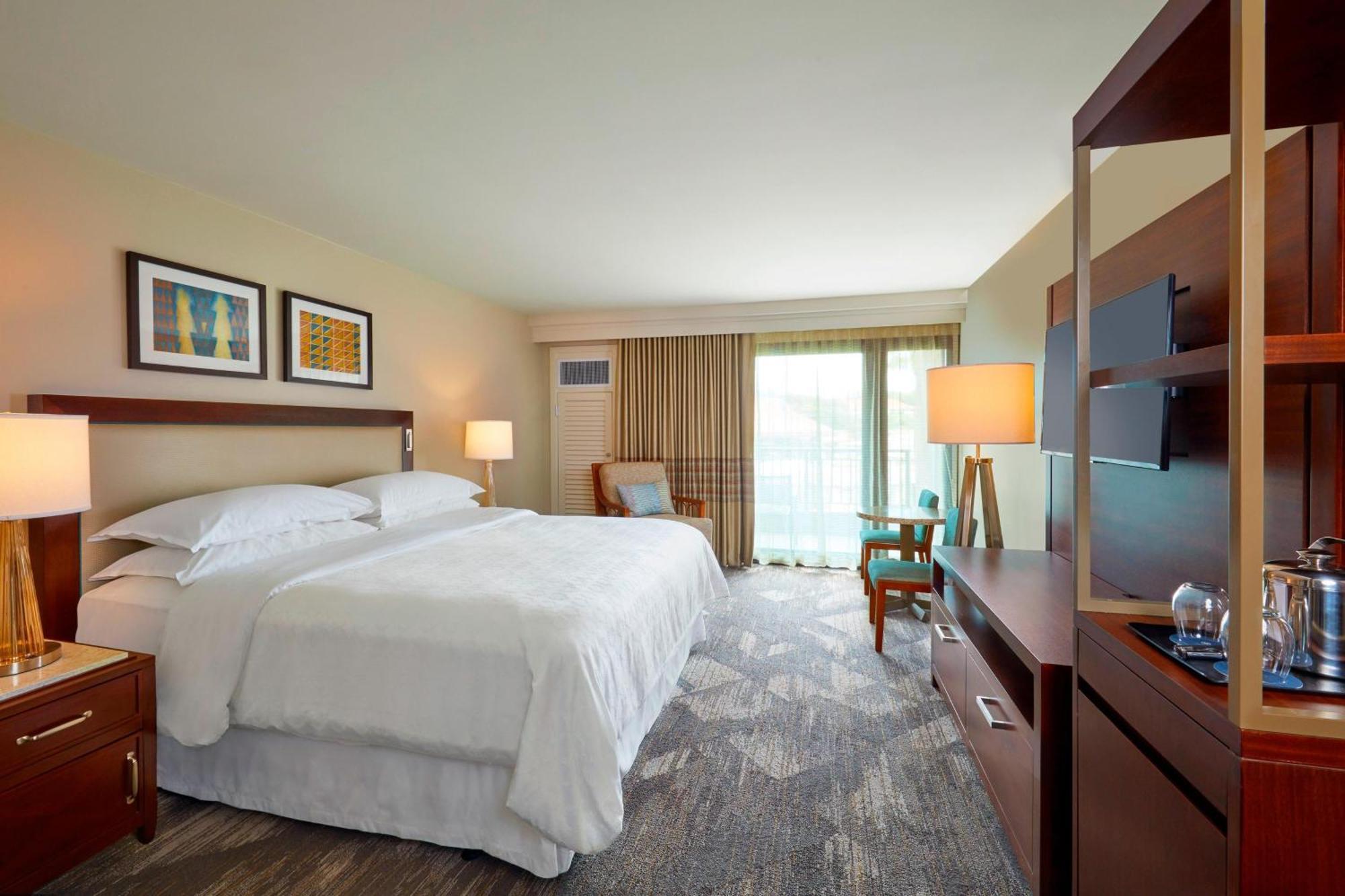 Deluxe Garden View Guest room 1 King Garden view