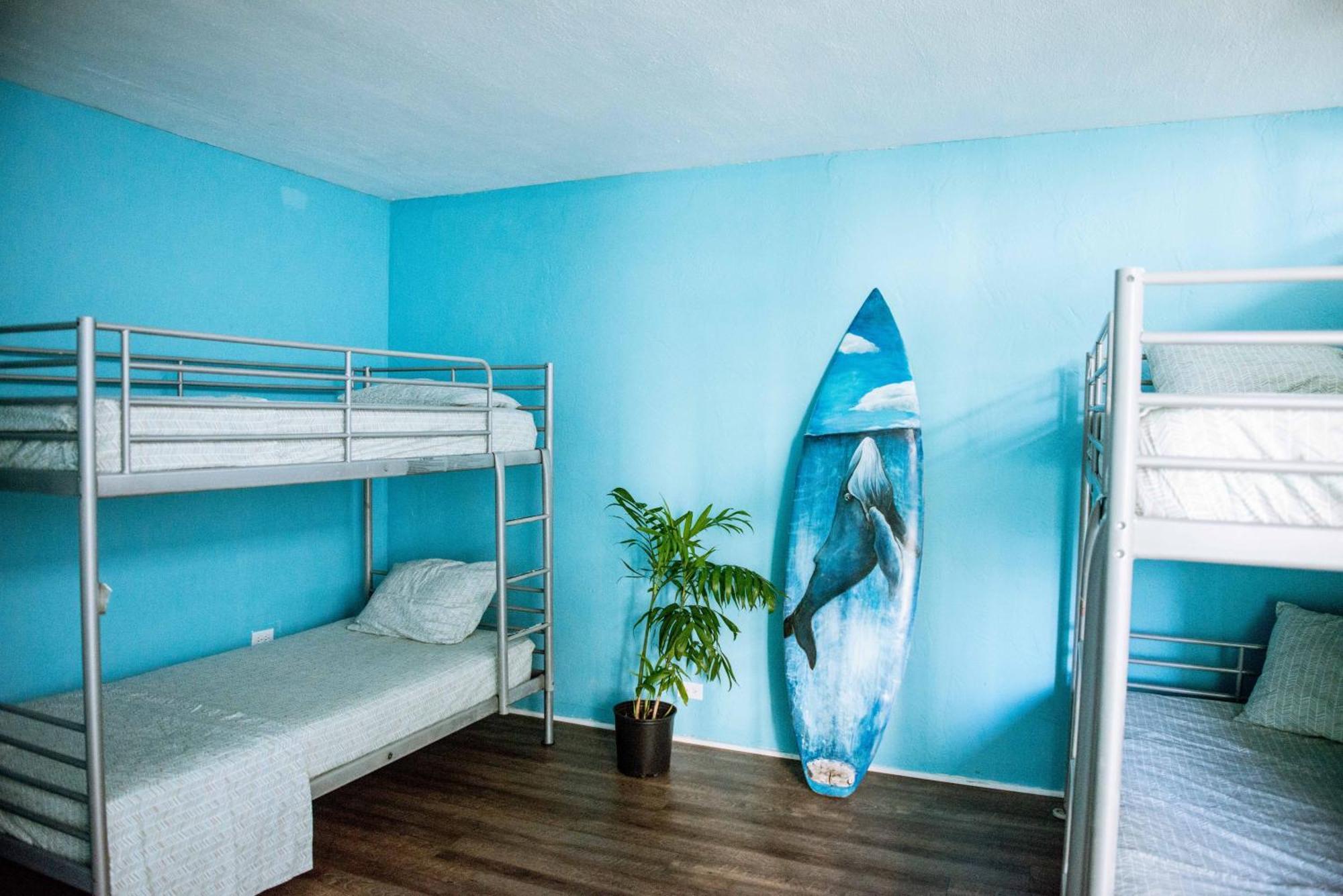 Single Bed Mixed Dormitory Room