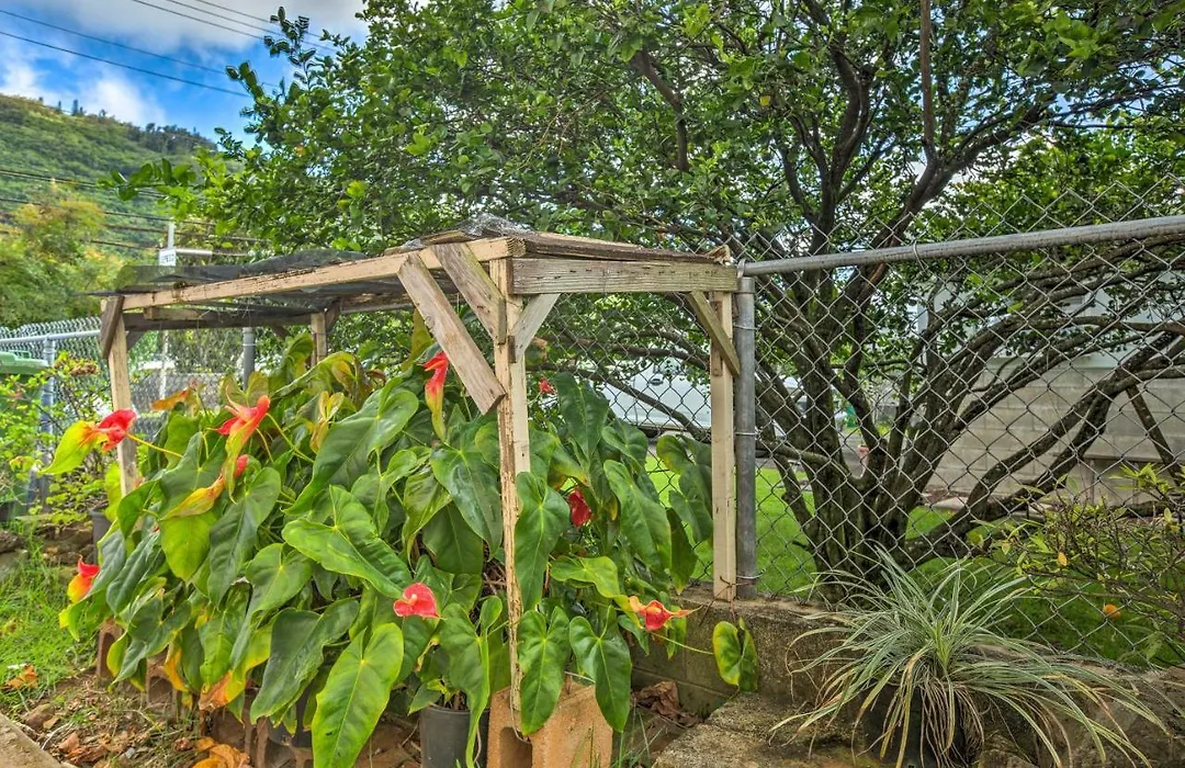 Serene Manoa Valley Home With Tropical Mtn Views!-1